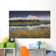 The North Face And Peak Of Mt Mckinley Is Reflected Wall Mural