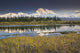 The North Face And Peak Of Mt Mckinley Is Reflected Wall Mural