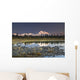 The Alaska Range And Denali's North Face Are Reflected Wall Mural