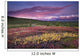 Scenic View Of Alpine Tundra With Alaska Range Wall Mural