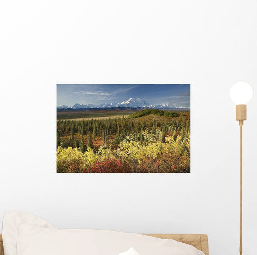 Scenic Mt McKinley and Wall Decal