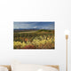 Scenic Mt McKinley and Wall Decal