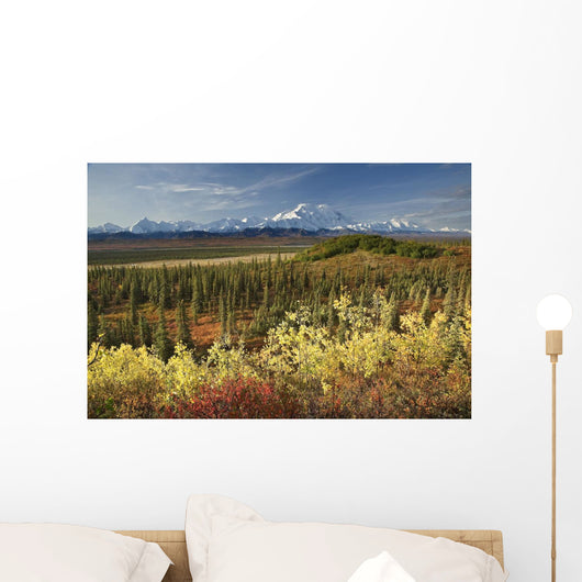 Scenic Mt McKinley and Wall Decal