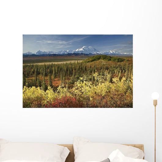 Scenic Mt McKinley and Wall Decal