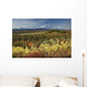 Scenic Mt McKinley and Wall Decal