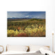Scenic Mt McKinley and Wall Decal