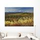 Scenic Mt McKinley and Wall Decal