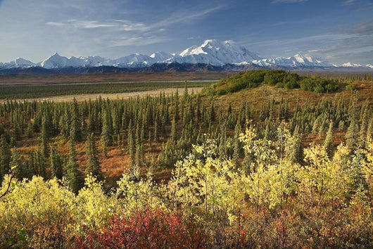 Scenic Mt McKinley and Wall Decal