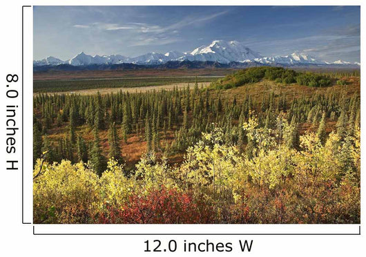Scenic Mt McKinley and Wall Decal