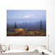 Scenic View Of Wonder Lake Campground With A Tent Wall Mural