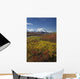 Scenic MT McKinley Wall Decal