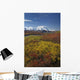 Scenic MT McKinley Wall Decal
