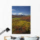 Scenic MT McKinley Wall Decal