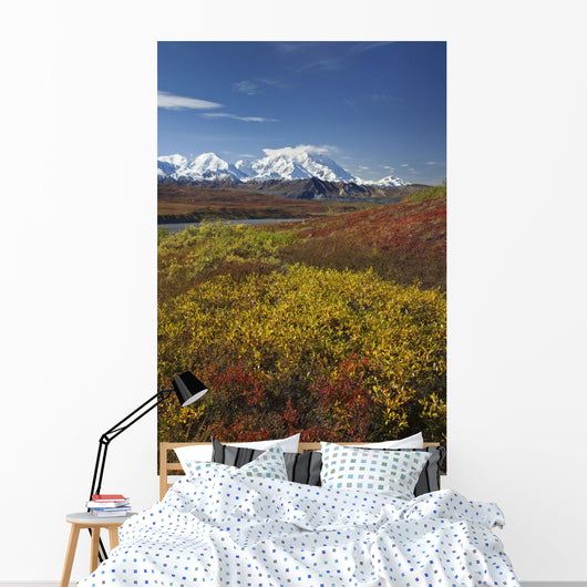 Scenic MT McKinley Wall Decal