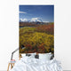 Scenic MT McKinley Wall Decal