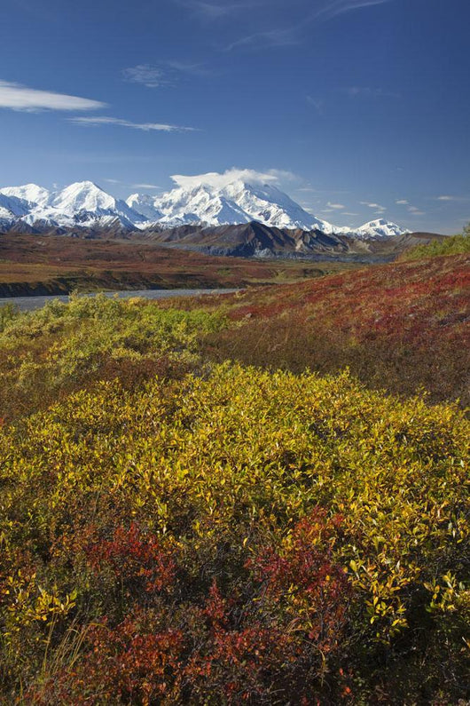 Scenic MT McKinley Wall Decal