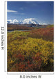 Scenic MT McKinley Wall Decal