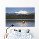 Man Paddling A Klepper Kayak Wall Mural