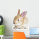 Red Rabbit Wall Decal