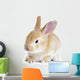 Red Rabbit Wall Decal