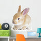 Red Rabbit Wall Decal