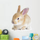 Red Rabbit Wall Decal