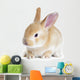 Red Rabbit Wall Decal