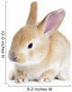 Red Rabbit Wall Decal