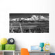 Infrared Panorama Of Denali And The Alaska Range Taken From Wall Mural