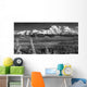 Infrared Panorama Of Denali And The Alaska Range Taken From Wall Mural