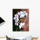 Orchid watercolor painted. Wall Mural