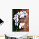 Orchid watercolor painted. Wall Mural