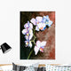 Orchid watercolor painted. Wall Mural