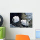 Trumpeter Swans Swim In Ice Covered Pond Alaska Wall Mural