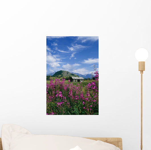 Old Cabin W/ Fireweed Summer Sc Ak Wall Mural