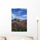 Old Cabin W/ Fireweed Summer Sc Ak Wall Mural