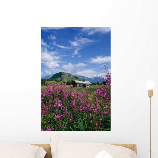Old Cabin W/ Fireweed Summer Sc Ak Wall Mural