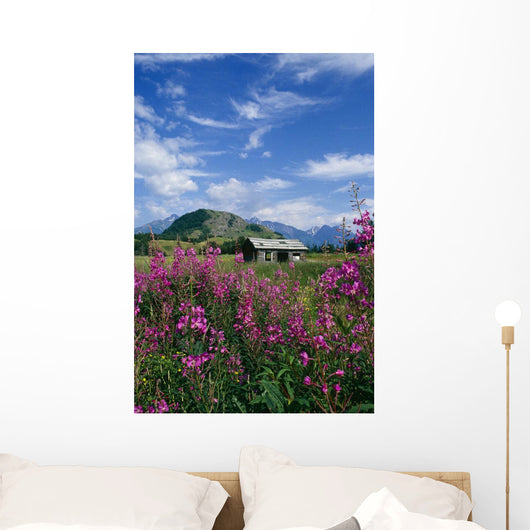 Old Cabin W/ Fireweed Summer Sc Ak Wall Mural
