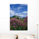Old Cabin W/ Fireweed Summer Sc Ak Wall Mural