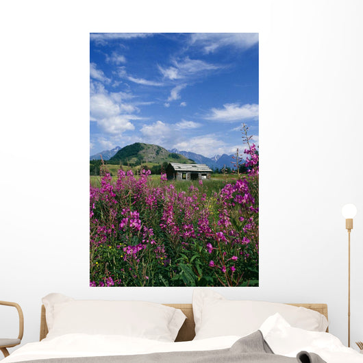 Old Cabin W/ Fireweed Summer Sc Ak Wall Mural