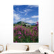 Old Cabin W/ Fireweed Summer Sc Ak Wall Mural