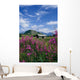 Old Cabin W/ Fireweed Summer Sc Ak Wall Mural