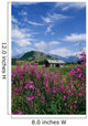 Old Cabin W/ Fireweed Summer Sc Ak Wall Mural