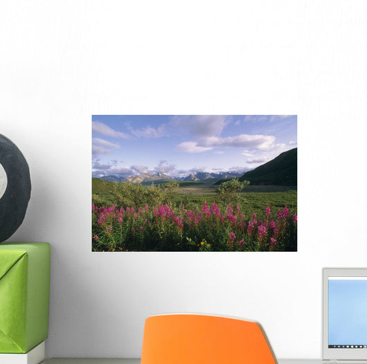 Fireweed Alaska Range Denali Np Summer Ak Wall Mural