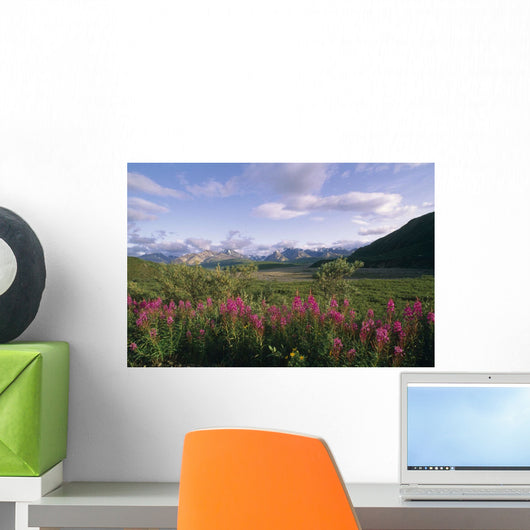 Fireweed Alaska Range Denali Np Summer Ak Wall Mural