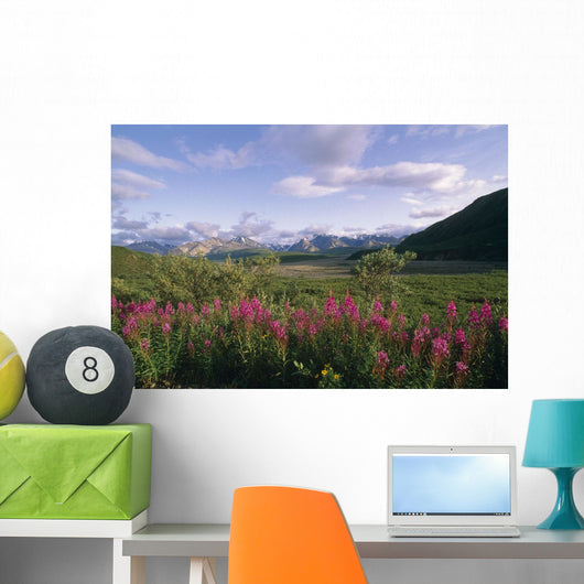 Fireweed Alaska Range Denali Np Summer Ak Wall Mural