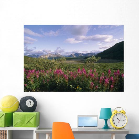 Fireweed Alaska Range Denali Np Summer Ak Wall Mural