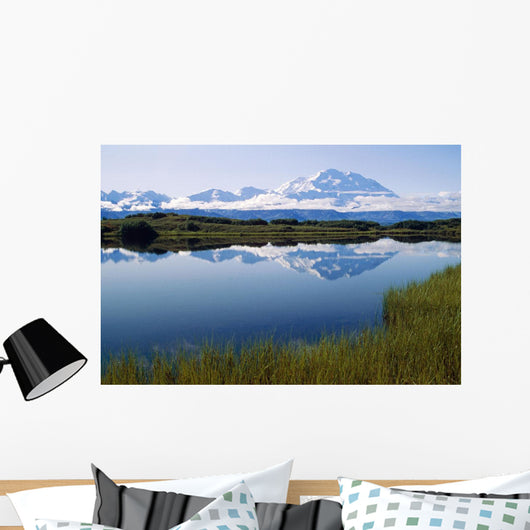 Mt Mckinley Reflected In Tundra Pond Denali Np Ak Wall Mural