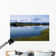 Mt Mckinley Reflected In Tundra Pond Denali Np Ak Wall Mural