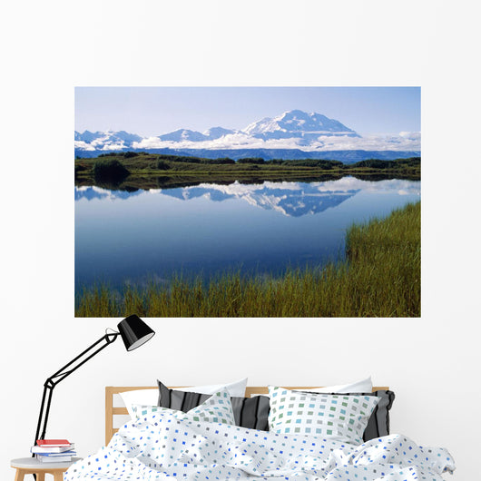 Mt Mckinley Reflected In Tundra Pond Denali Np Ak Wall Mural